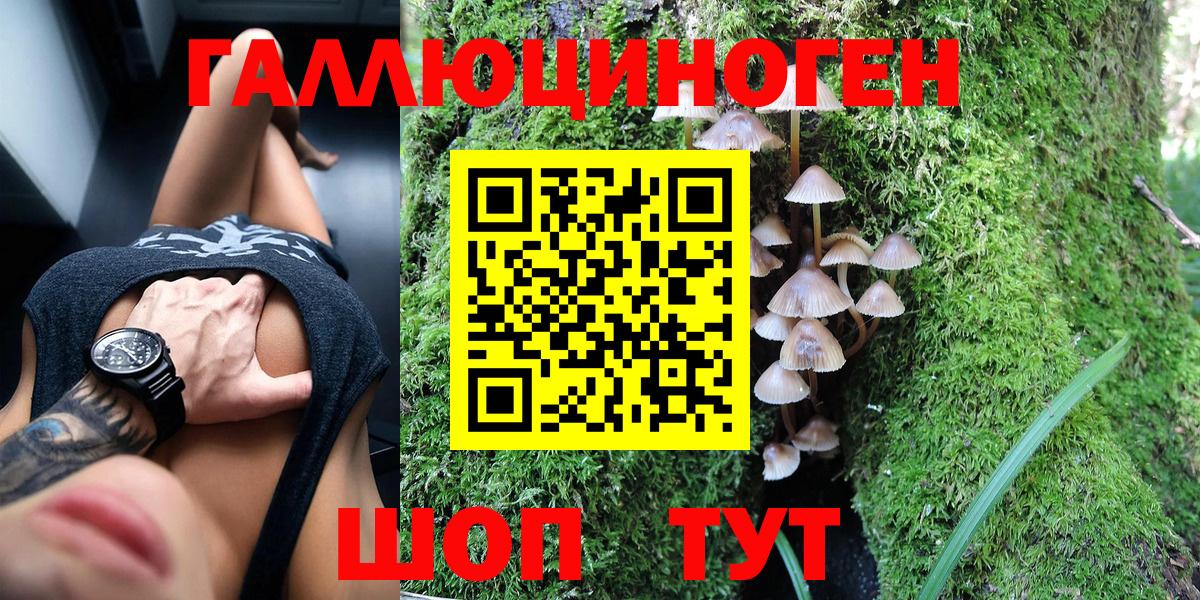 Галлюциногенные грибы Magic Shrooms Новокубанск