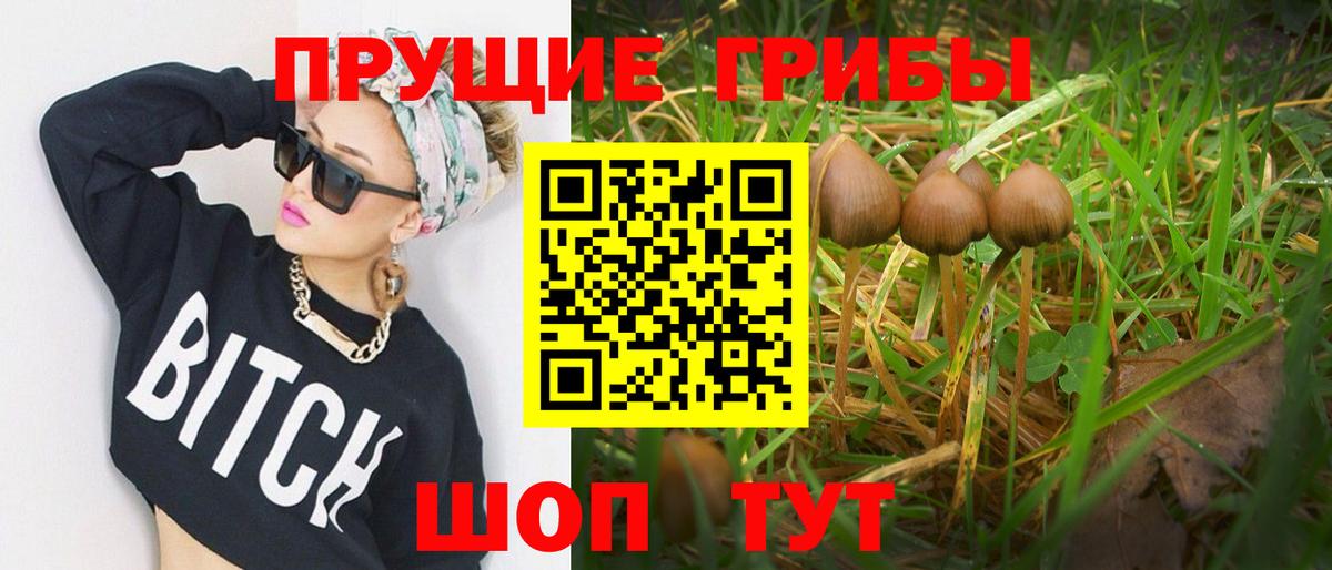 Новокубанск  Галлюциногенные грибы прущие грибы  Вход с VPN 