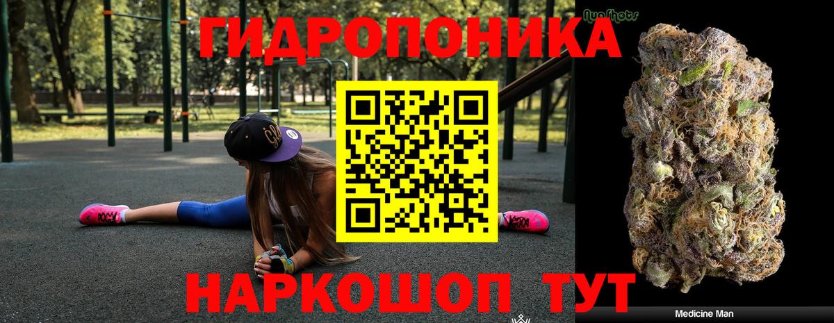 Шишки марихуана марихуана Новокубанск